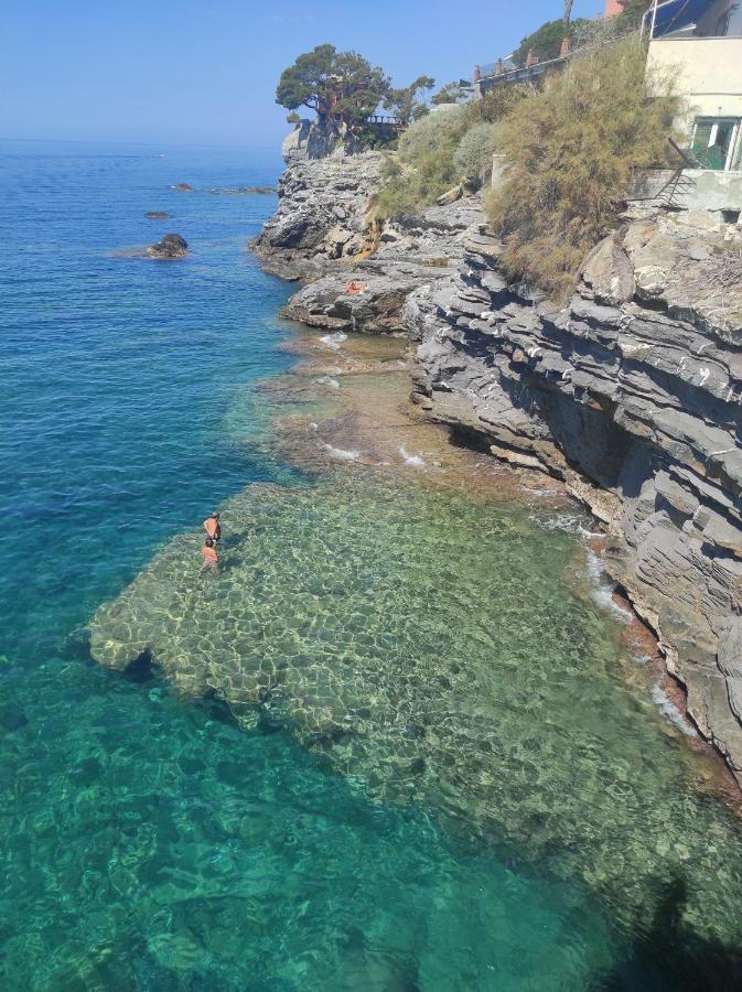 B&B La Taverna Di Mulinetti Recco Exteriör bild